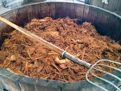 Bagazo de agave